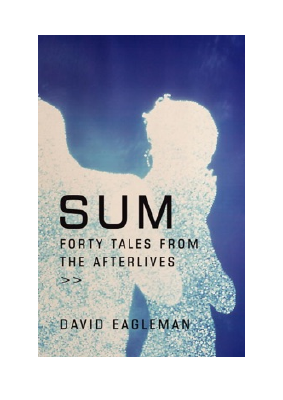 Baixar Sum PDF Grátis - David Eagleman.pdf